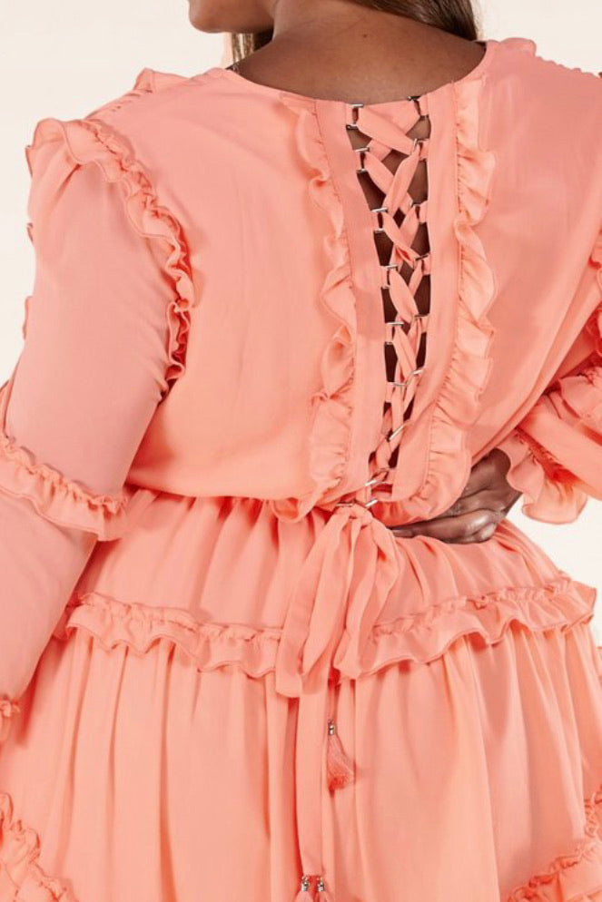 Pink Chiffon Plus Size Dress