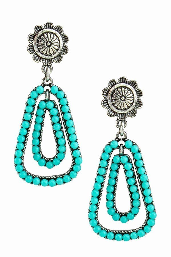 Native Dangle Earrings